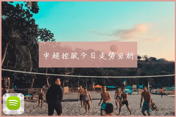 中超控股今日走势分析