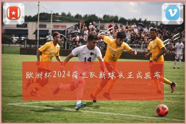 欧洲杯2024荷兰队新球衣正式发布