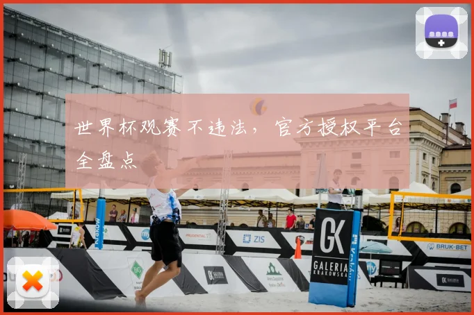 世界杯观赛不违法,官方授权平台全盘点