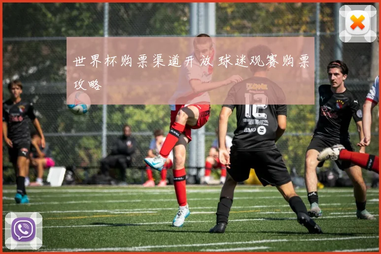 世界杯购票渠道开放 球迷观赛购票攻略