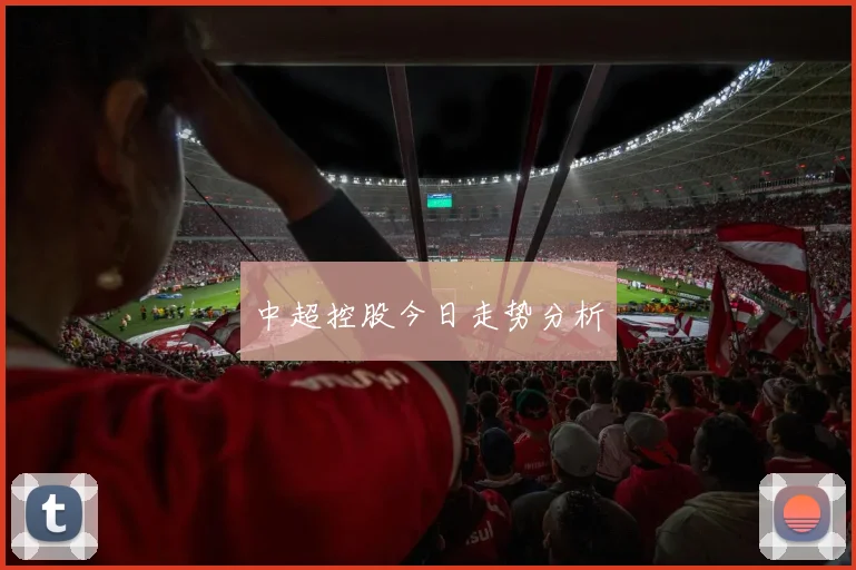 中超控股今日走势分析
