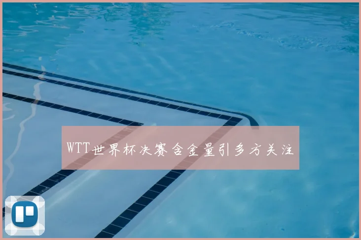 WTT世界杯决赛含金量引多方关注