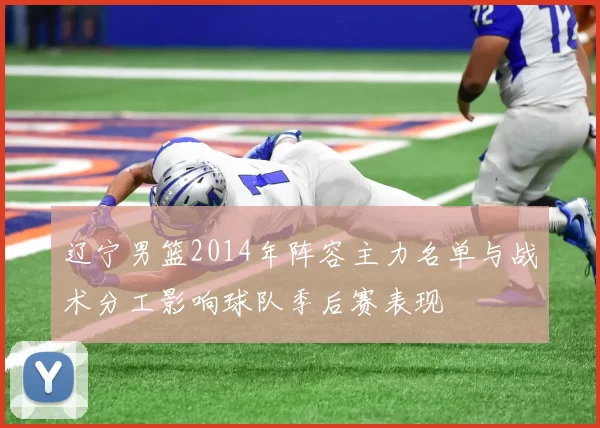 辽宁男篮2014年阵容主力名单与战术分工影响球队季后赛表现