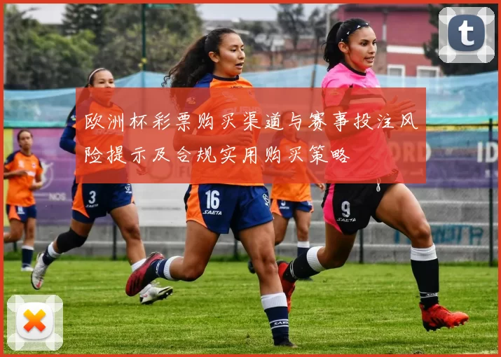 欧洲杯彩票购买渠道与赛事投注风险提示及合规实用购买策略