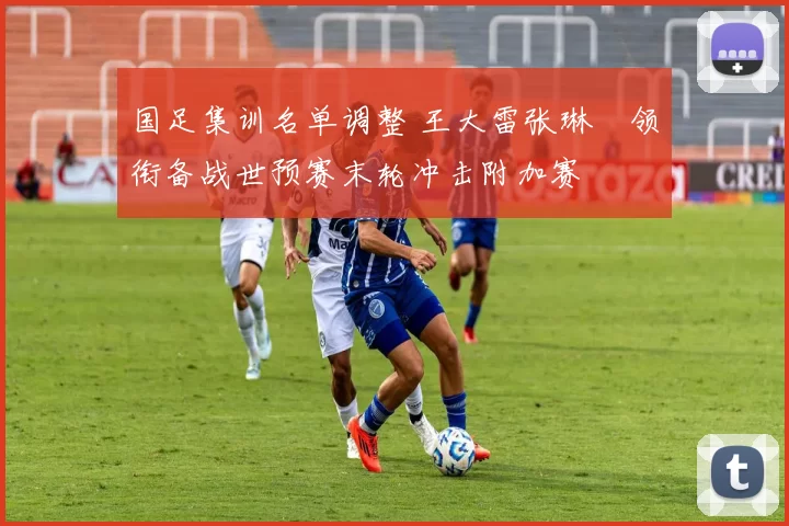 国足集训名单调整 王大雷张琳芃领衔备战世预赛末轮冲击附加赛